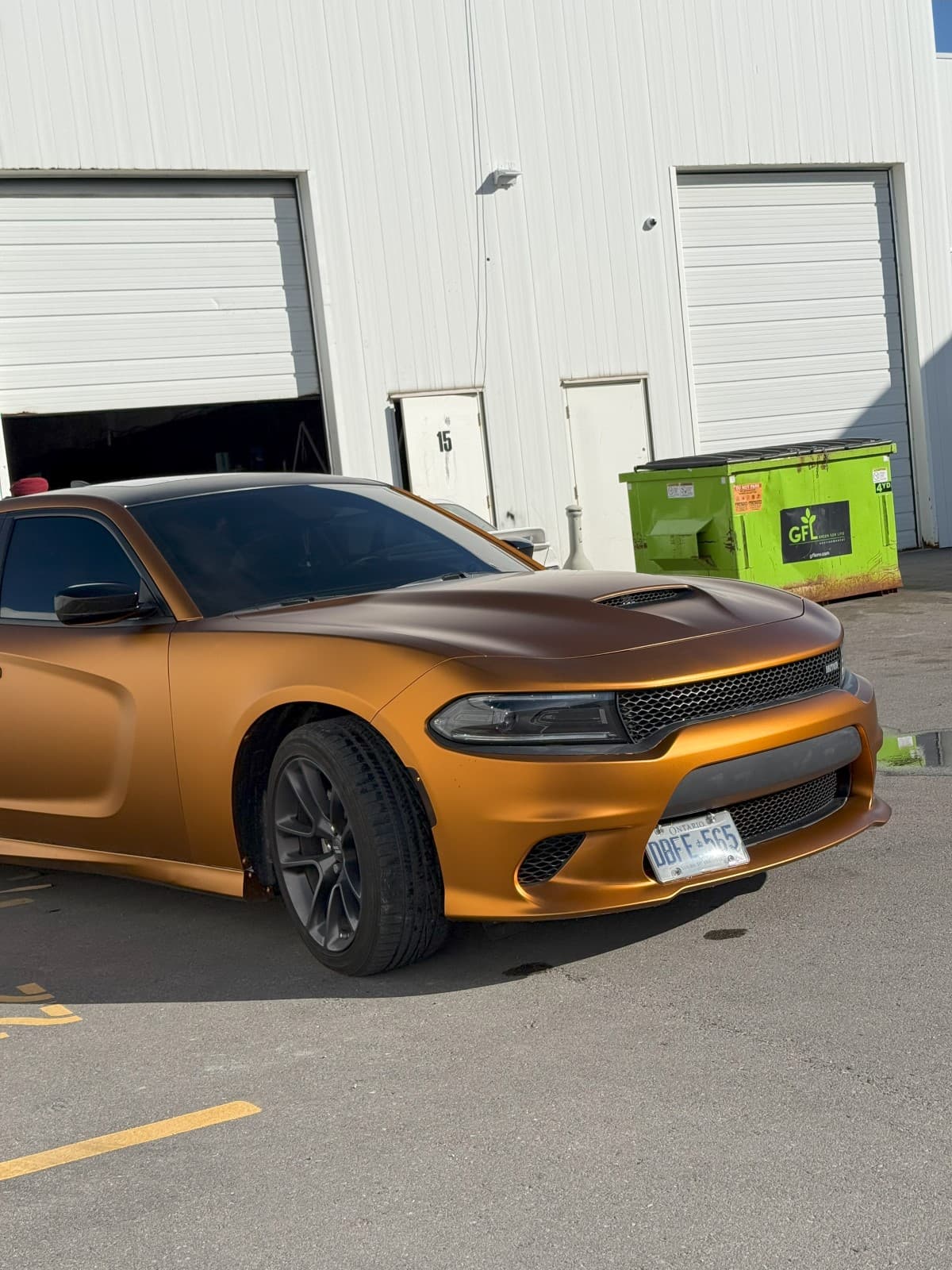 Car Wrap